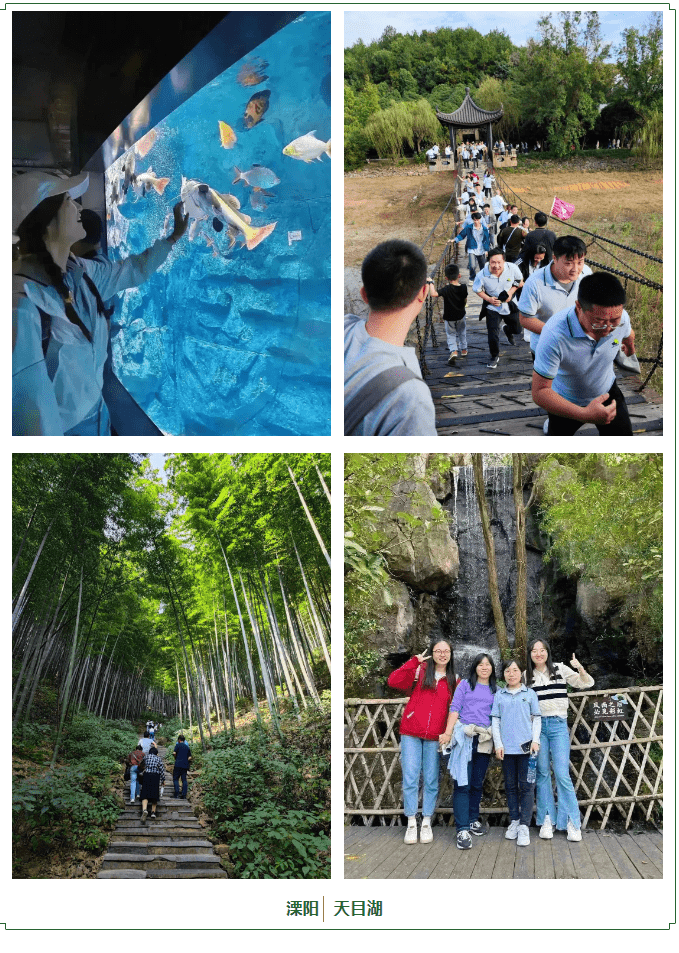秋日团建活动拍照留念